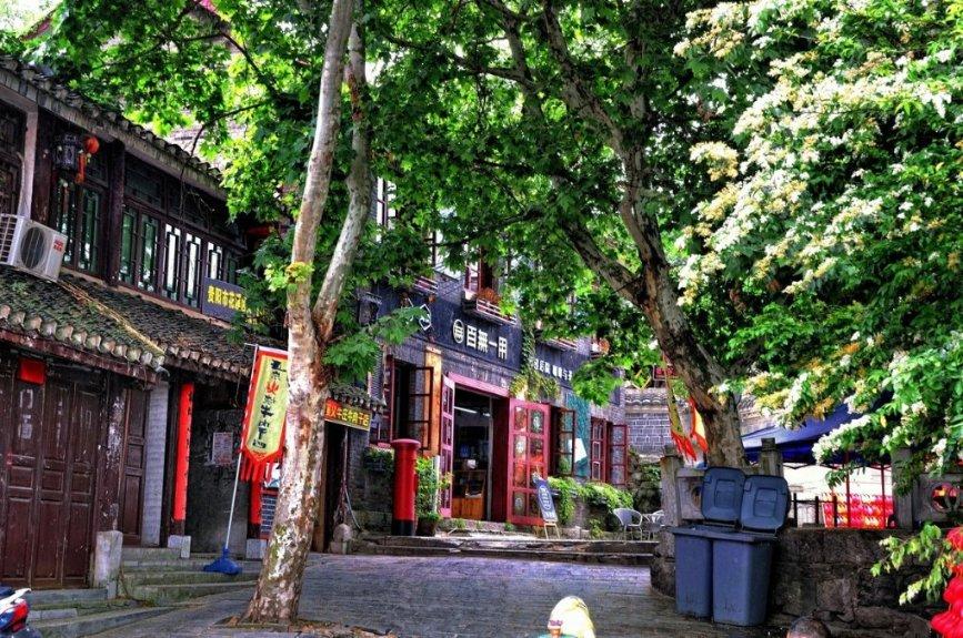 探索天涯锦囊,畅享请问李宁担任2008奥运会的火炬手原因是什么?交流空间